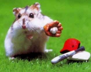 baseballmice.jpg