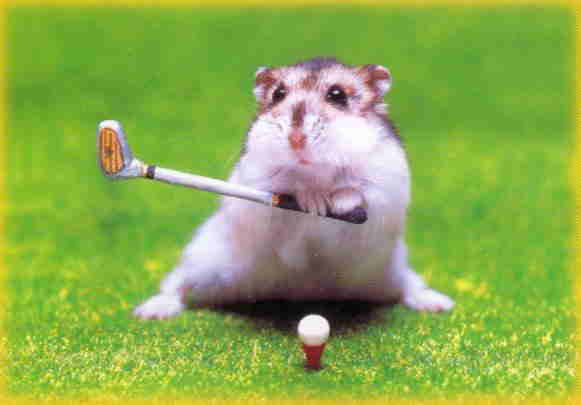 golfham.jpg